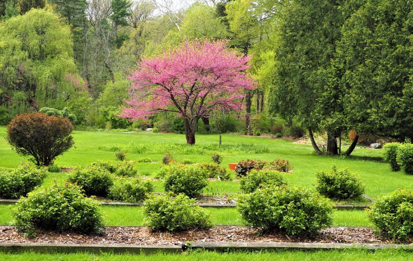 Friendship Botanic Gardens, United States